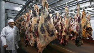 отменить инспекцию мясных предприятий
