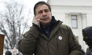 голодовку