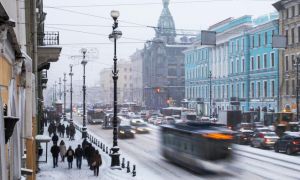 размещению