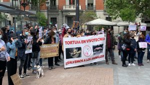 Против экспериментов над животными протестовали в Мадриде
