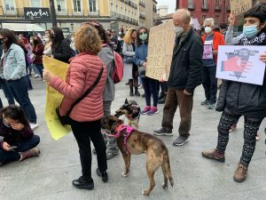 Против экспериментов над животными протестовали в Мадриде