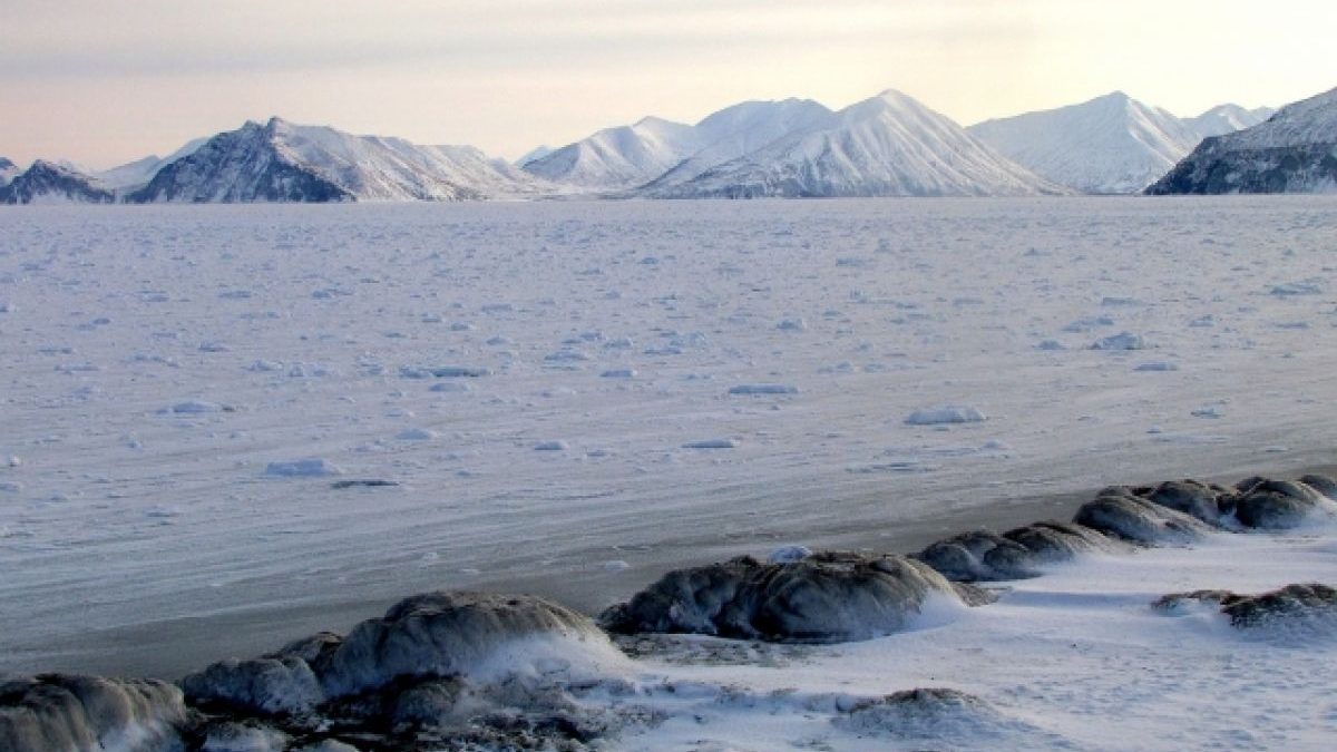 С 1 февраля 2022 года все россияне имеют право на бесплатный гектар в Арктике