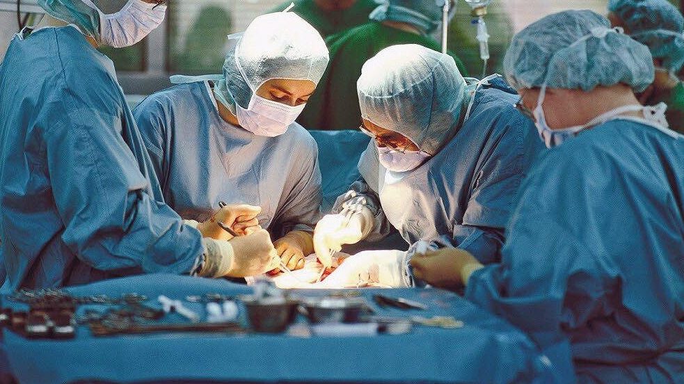 Немецкие ученые планируют разводить свиней для трансплантации человеческого сердца