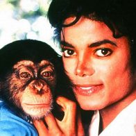 Майкла Джексона обвиняют в жестоком обращении с животными