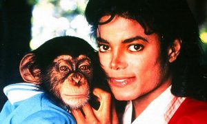Майкла Джексона обвиняют в жестоком обращении с животными
