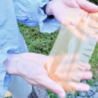 Ученые в Сингапуре разработали бумагу на основе пыльцы, которую можно многократно использовать