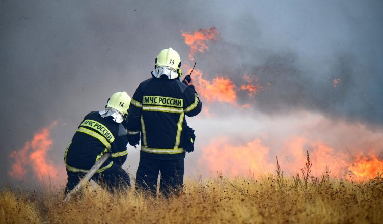 Пожары в Рязанской области стали причиной смога в Москве