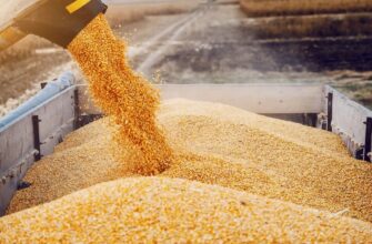 В Казахстане обнаружили серую схему импорта зерна из России