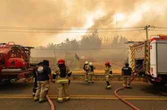 Масштабные лесные пожары охватили Чили
