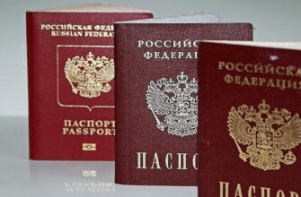 Более 600 тысяч жителей ДНР получили паспорта РФ