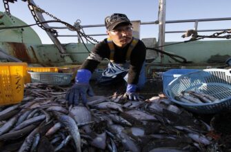 Как от санкций в сторону России страдают японские рыбаки