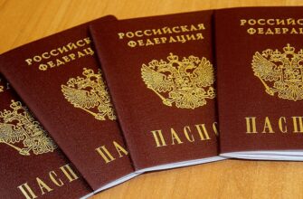В ДНР российские паспорта будут выдавать в отделениях МФЦ